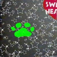 Настя Борисенко