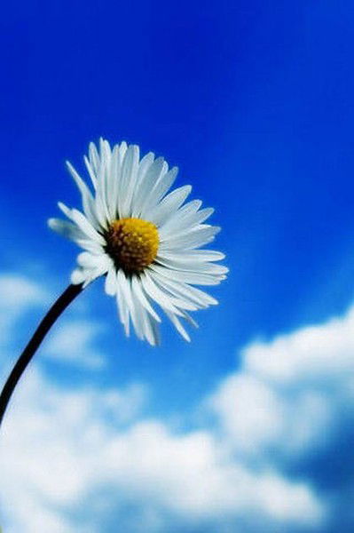 Реня Федосеева