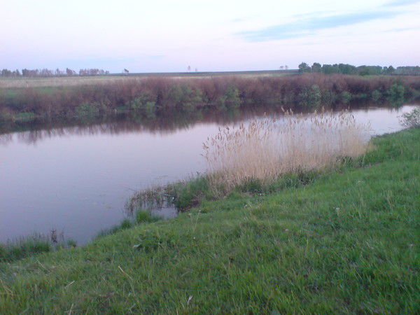 Отдел Земельных