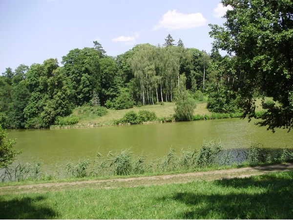 Наташа Чорненька