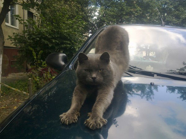 Дяченко Сергей