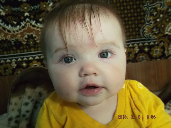 Николай Гаврилов