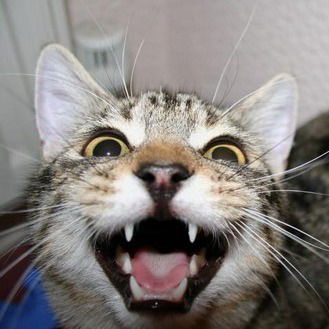 Сергей Сайкин