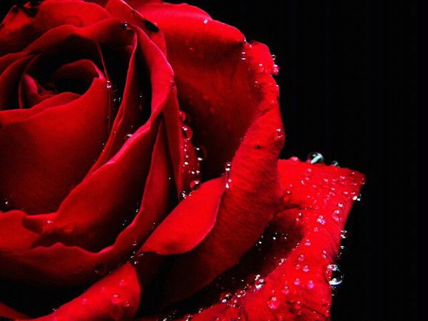 Асель Бикбулатова