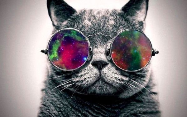 Роман Федотов