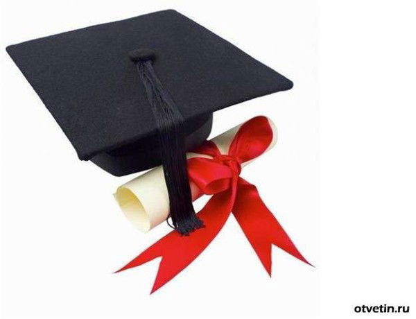 Компания Дипломоff