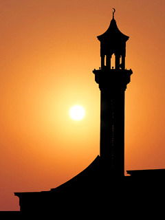 Альберт Shaykhin