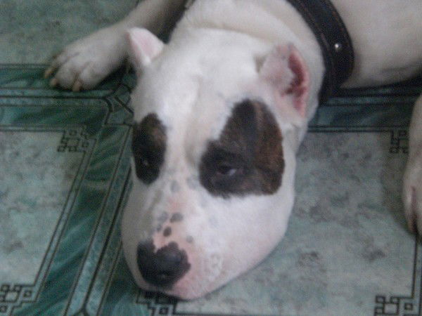 Илья Иванов