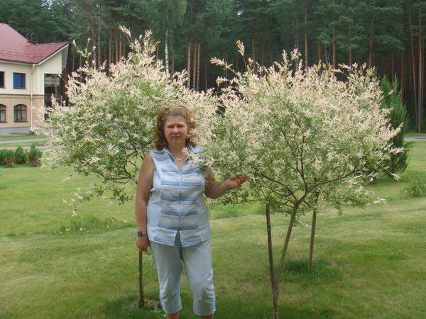 Александра Вощило