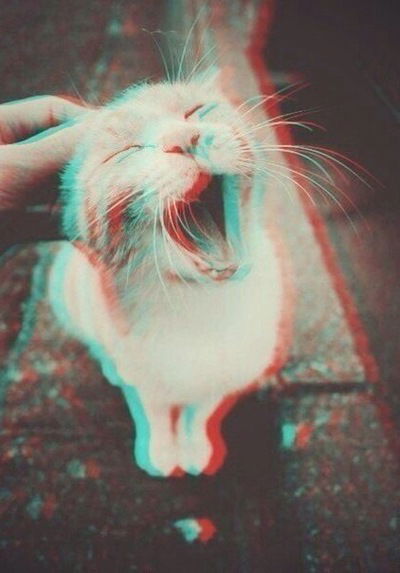 Вадим Белый