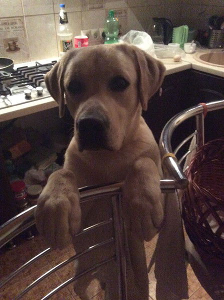 Никита Артёмов