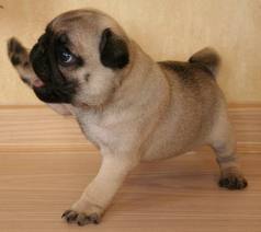 Надюшка Севостьянова