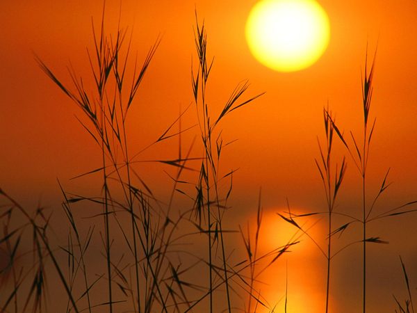 Сергей Исупов