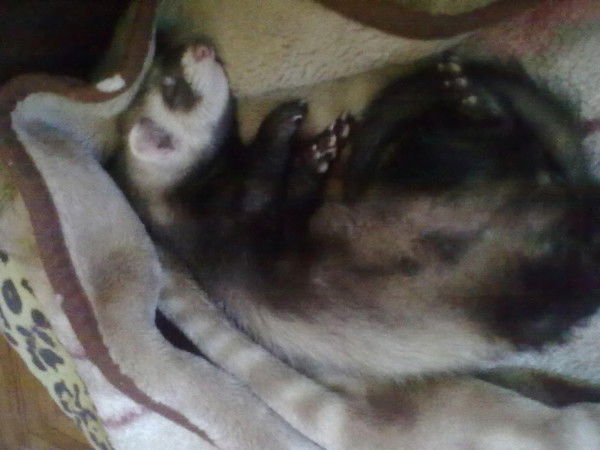 Алесенька .....