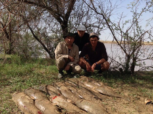 Амир Кубашев