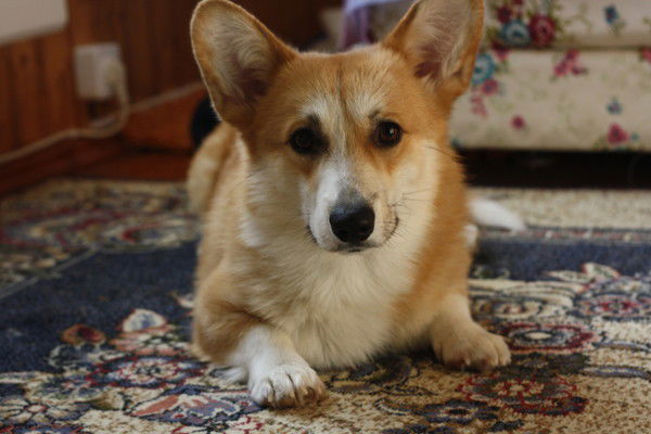 Иван Иванов