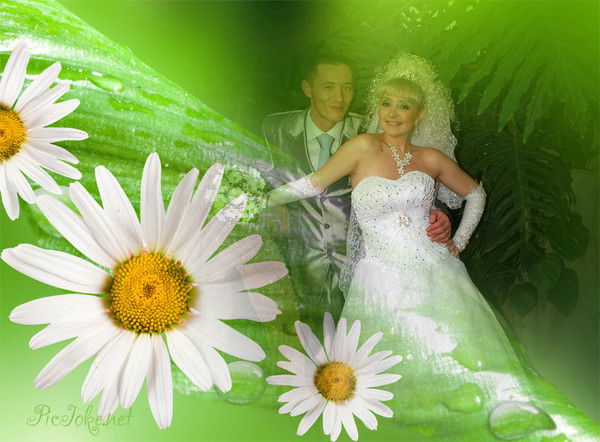 Ольга Соколова