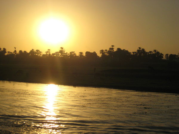 Ирина Николаева