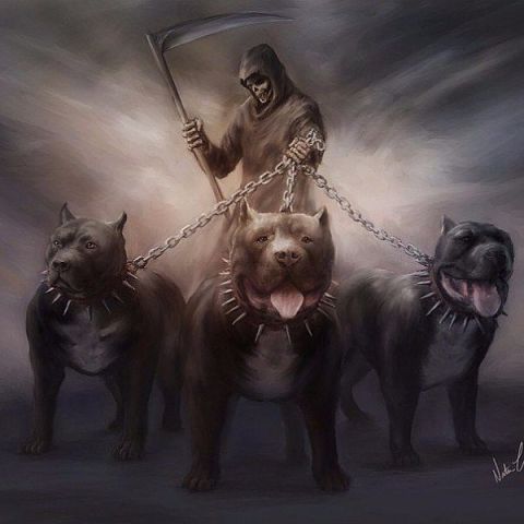 Анонимно Анон