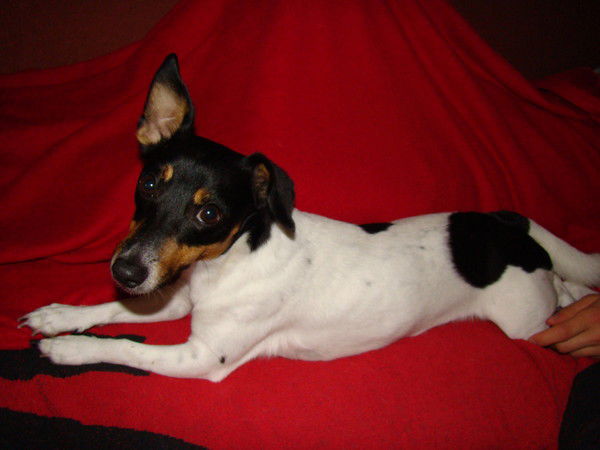 Лaриса Зуева