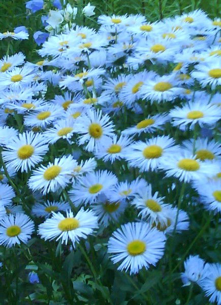 Лариса Егорова