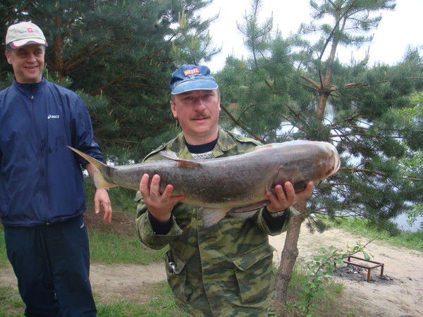 Андрей Воробьев