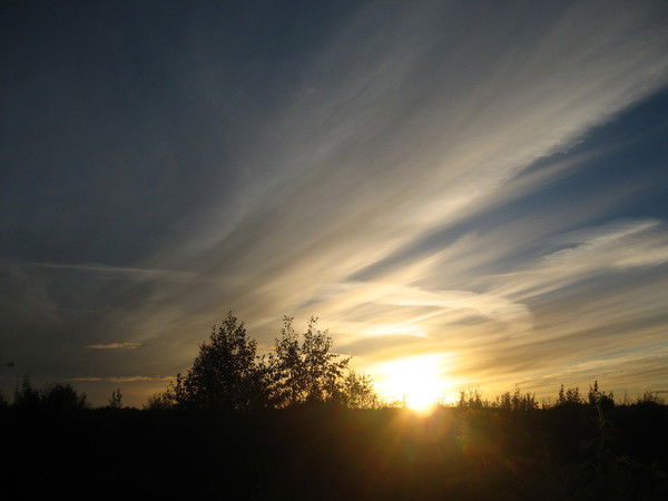 Ирина Репкина