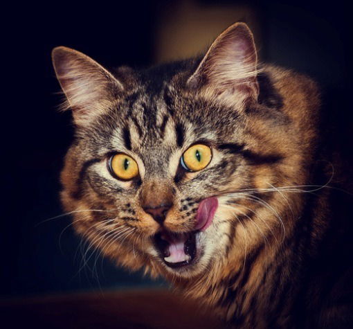 Василий Иванович