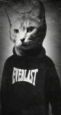 Алем Кожахметов