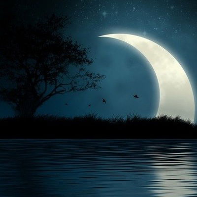 Максим Максимов