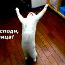 Сергей Левченко