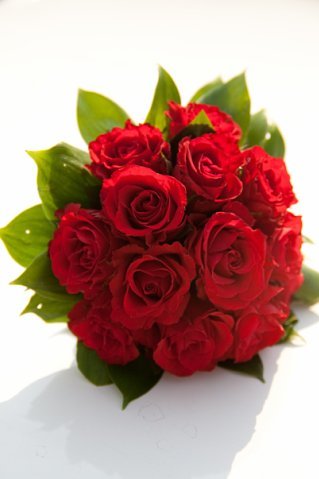 Светлана Мачеева