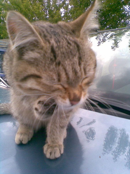 Ольга Ольга