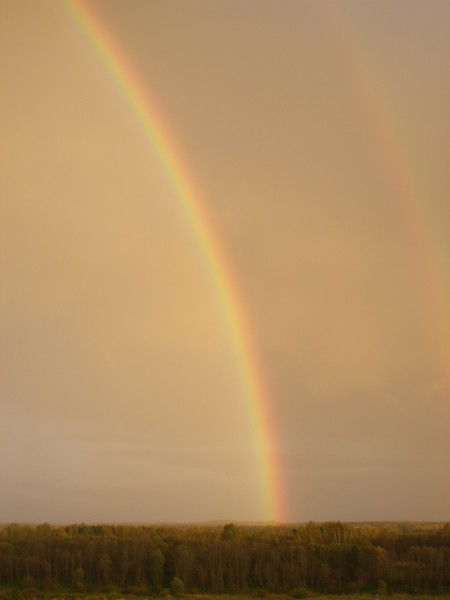 Татьяна Конюхова