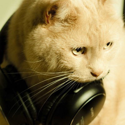 Саша Фёдорова