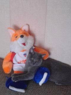 Дмитрий Николаевич