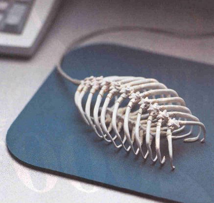 Виктория Кусик