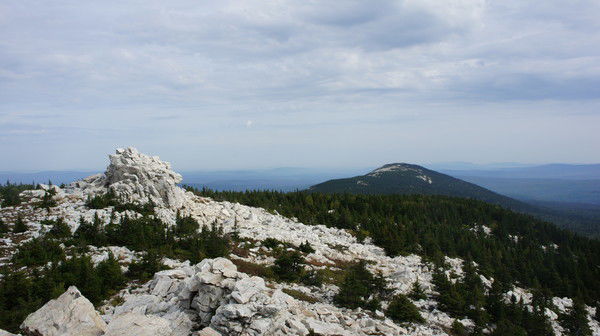 Александр Ваулин