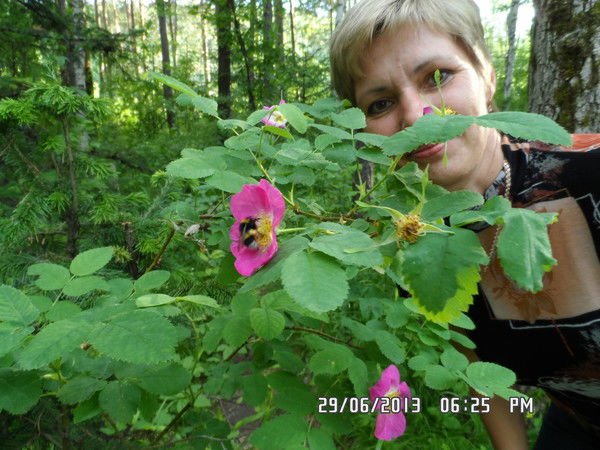 Галина Чекменёва