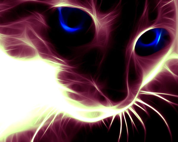 Гунча Ярджикова