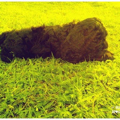 Зарина Асылгараева