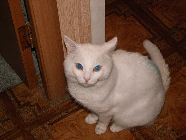 Маргарита Кудряшова