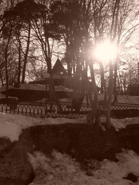 Наталья Романова