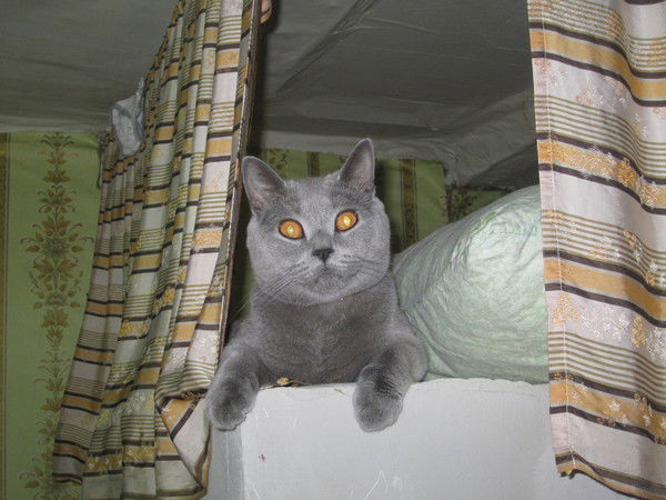 Татьяна Морозова