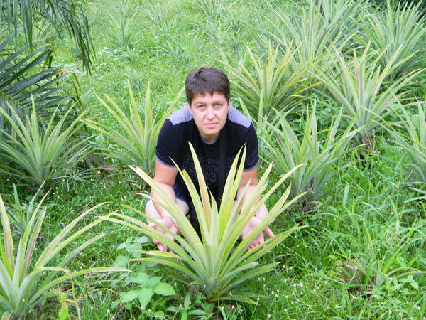 Наталья Крапивина