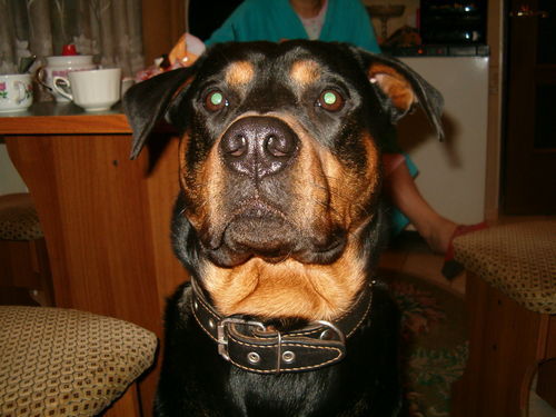 Игорь Морозов