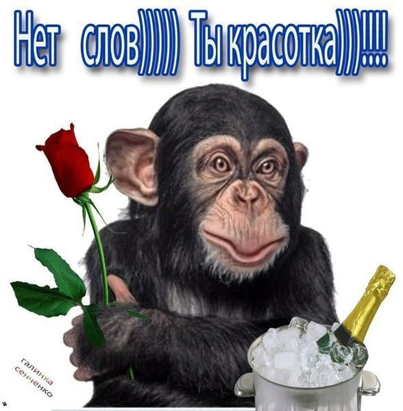 Света Белозерова