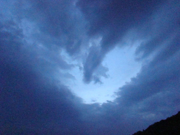 Вера Горявина