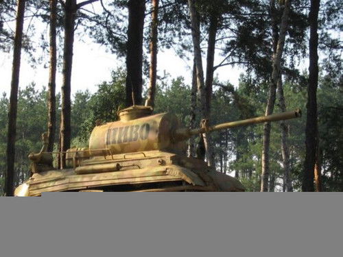 Денис Черемушкин