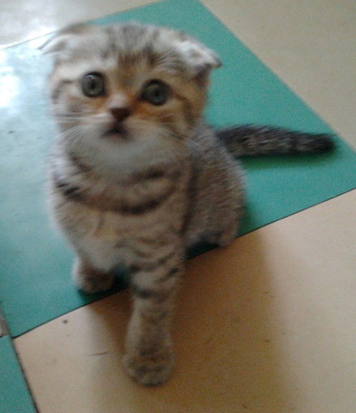 Лия Кузнецова